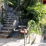 Barony Olive Mit Hund Appartamento Lugano