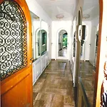 Barony Olive Mit Hund *