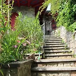 Barony Olive Mit Hund Lugano