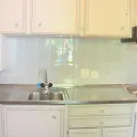 Barony Olive Mit Hund Appartamento Lugano