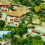 Barony Olive Mit Hund * Lugano