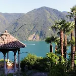 Barony Olive Mit Hund Lugano