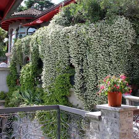 Barony Olive Mit Hund Apartment *