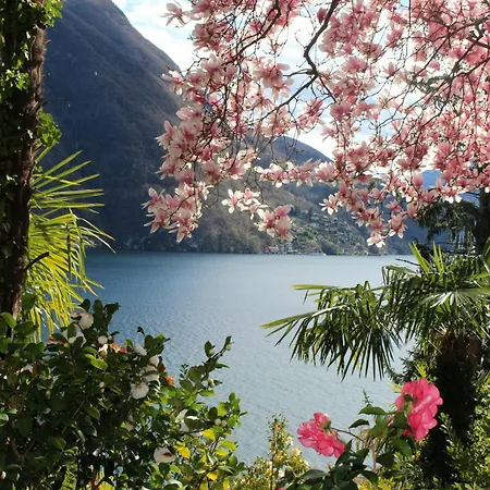 Barony Olive Mit Hund Apartment