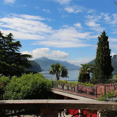 Barony Olive Mit Hund Lugano