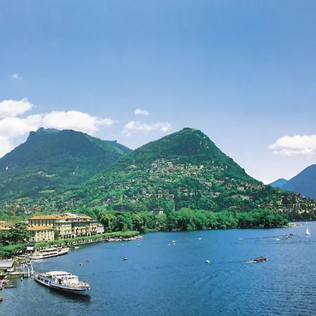 Barony Olive Mit Hund * Lugano