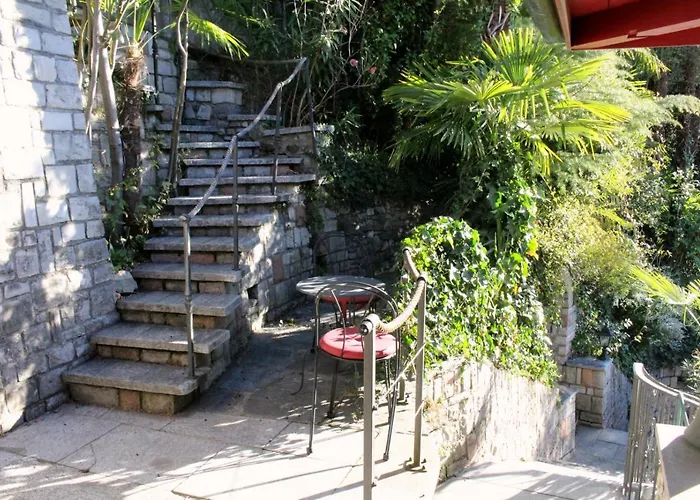 Barony Olive Mit Hund Apartment Lugano