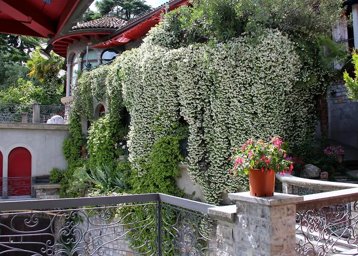 Barony Olive Mit Hund Apartment *