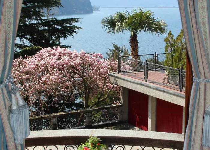 Barony Olive Mit Hund Apartment Lugano