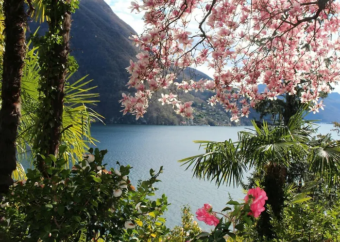 Barony Olive Mit Hund アパート