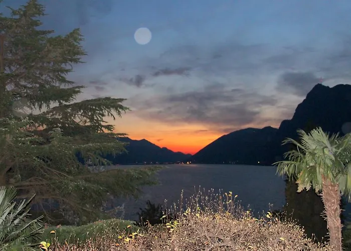 Barony Olive Mit Hund *