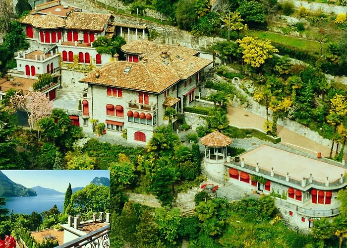 Barony Olive Mit Hund * Lugano