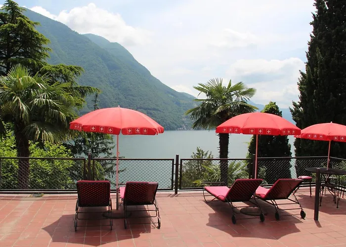 Barony Olive Mit Hund *