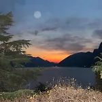 Barony Olive Mit Hund *