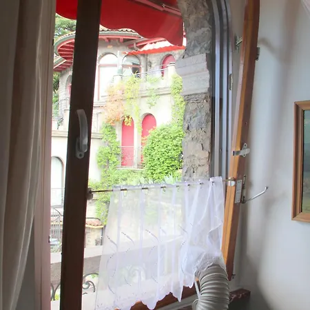 Barony Olive Mit Hund *