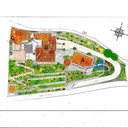 Barony Olive Mit Hund *