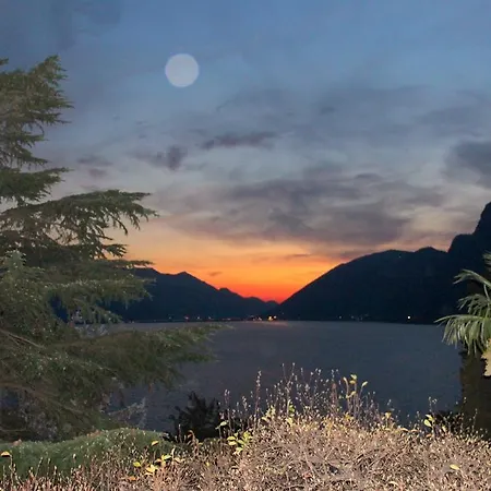 Barony Olive Mit Hund *