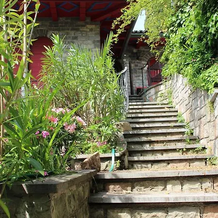 Barony Olive Mit Hund Лугано