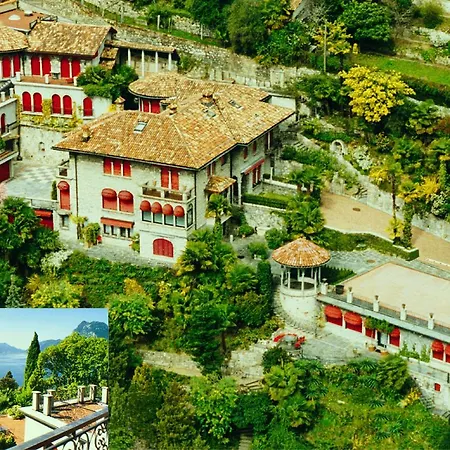 Barony Olive Mit Hund * Лугано