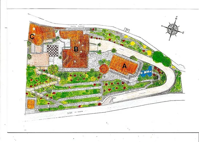 Barony Olive Mit Hund *