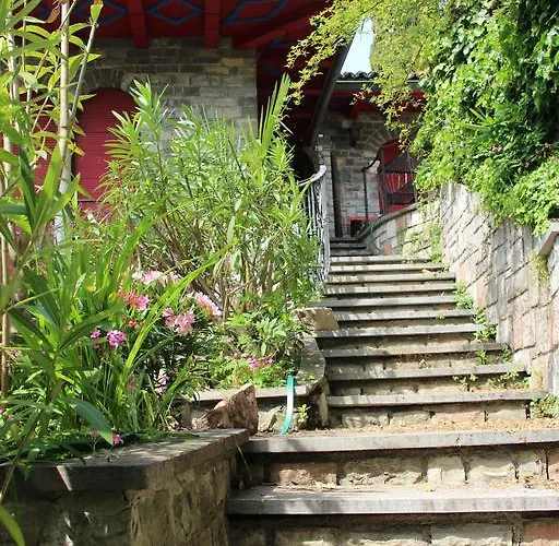 Barony Olive Mit Hund Lugano