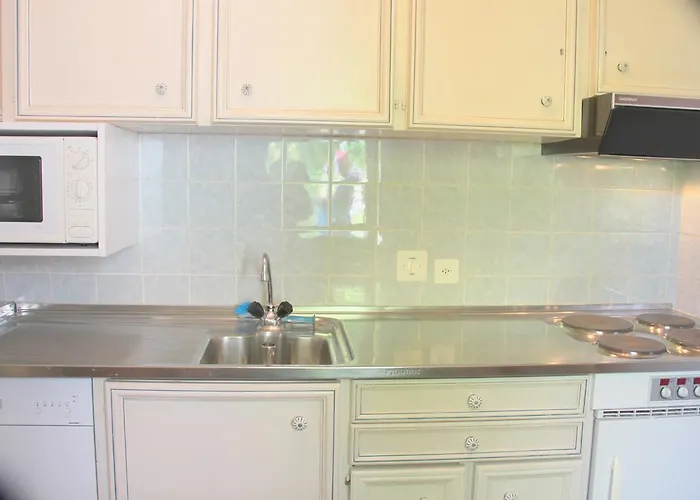 Barony Olive Mit Hund Apartamento Lugano