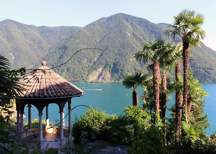 Barony Olive Mit Hund Lugano